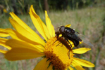 Apache National Forest, Arizona; &copy; Ruth Kvech