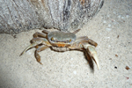 Inselbewohner auf Holbox-Island, Mexico; &copy; Ruth Kvech